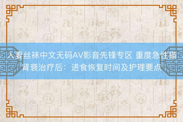 人妻丝袜中文无码AV影音先锋专区 重度急性猫肾衰治疗后：进食恢复时间及护理要点