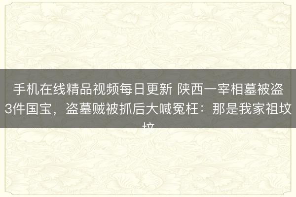 手机在线精品视频每日更新 陕西一宰相墓被盗3件国宝，盗墓贼被抓后大喊冤枉：那是我家祖坟