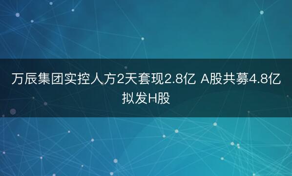 万辰集团实控人方2天套现2.8亿 A股共募4.8亿拟发H股