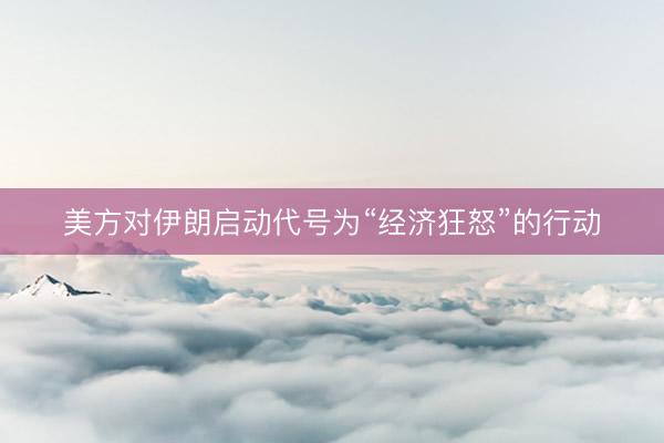 美方对伊朗启动代号为“经济狂怒”的行动