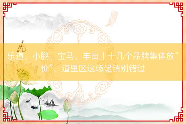 乐道、小鹏、宝马、丰田丨十几个品牌集体放“价”，道里区这场促销别错过