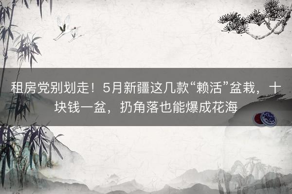 租房党别划走！5月新疆这几款“赖活”盆栽，十块钱一盆，扔角落也能爆成花海