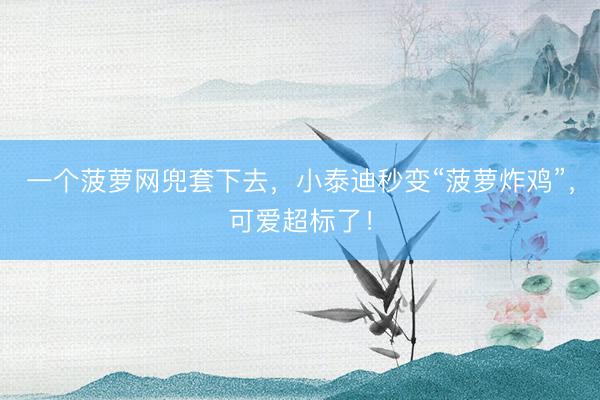 一个菠萝网兜套下去，小泰迪秒变“菠萝炸鸡”，可爱超标了！