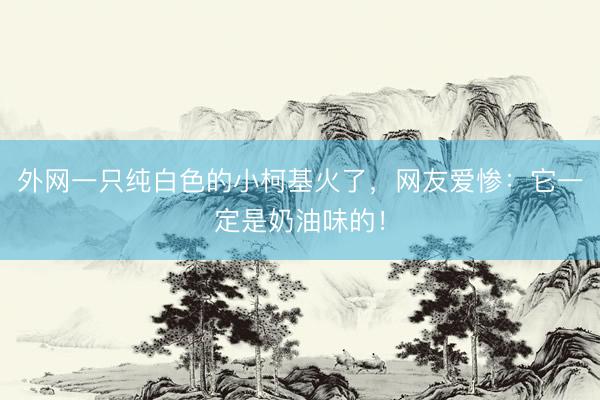 外网一只纯白色的小柯基火了，网友爱惨：它一定是奶油味的！