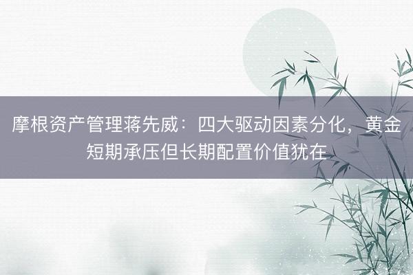 摩根资产管理蒋先威：四大驱动因素分化，黄金短期承压但长期配置价值犹在