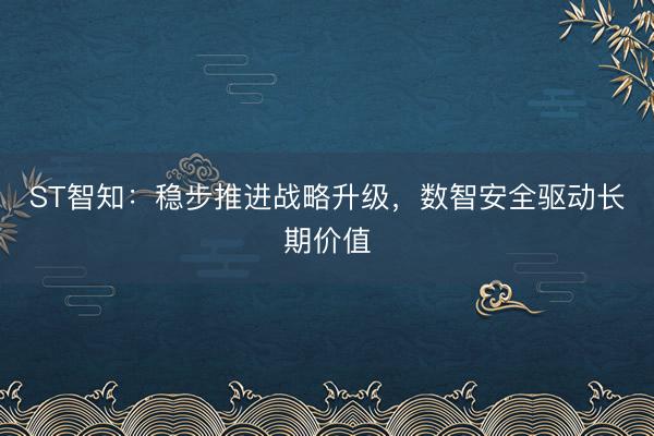 ST智知：稳步推进战略升级，数智安全驱动长期价值