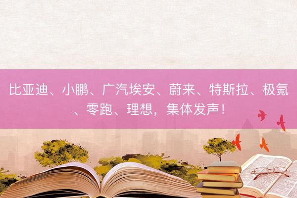 比亚迪、小鹏、广汽埃安、蔚来、特斯拉、极氪、零跑、理想，集体发声！
