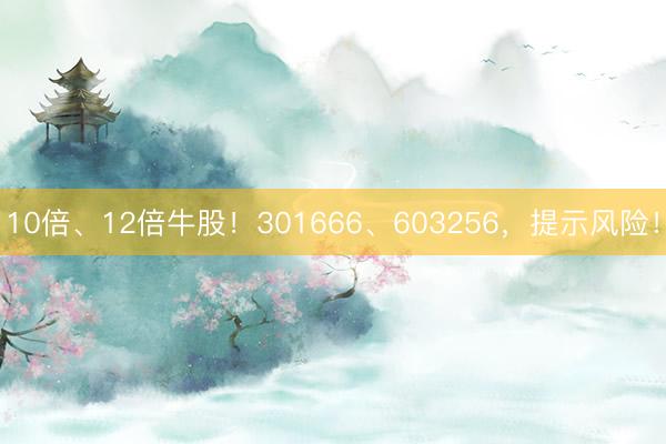 10倍、12倍牛股！301666、603256，提示风险！