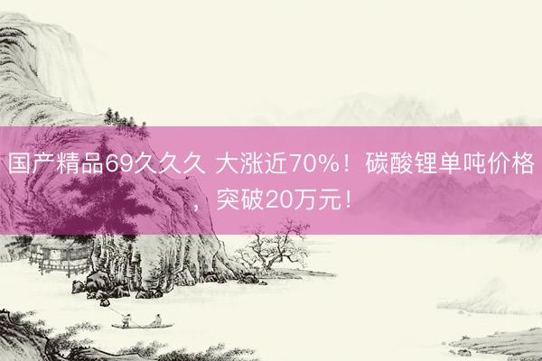 国产精品69久久久 大涨近70%！碳酸锂单吨价格，突破20万元！