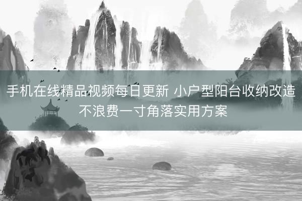 手机在线精品视频每日更新 小户型阳台收纳改造 不浪费一寸角落实用方案