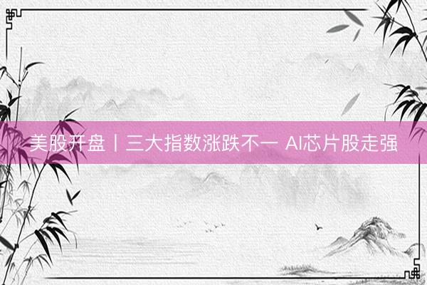 美股开盘丨三大指数涨跌不一 AI芯片股走强