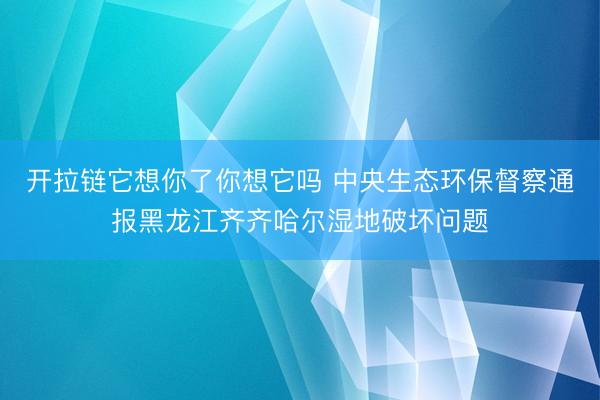 开拉链它想你了你想它吗 中央生态环保督察通报黑龙江齐齐哈尔湿地破坏问题