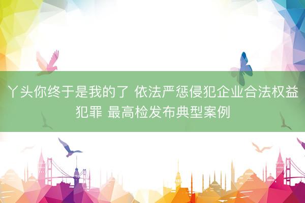 丫头你终于是我的了 依法严惩侵犯企业合法权益犯罪 最高检发布典型案例
