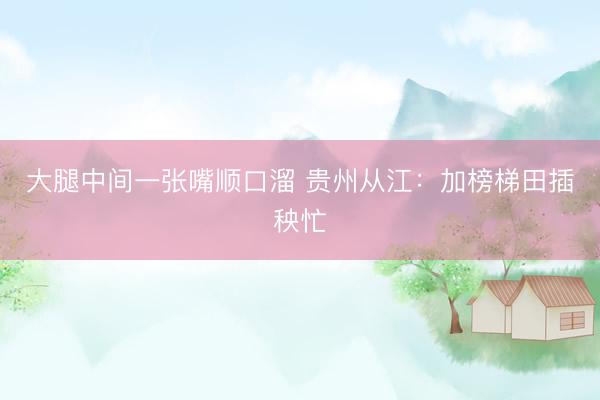 大腿中间一张嘴顺口溜 贵州从江：加榜梯田插秧忙