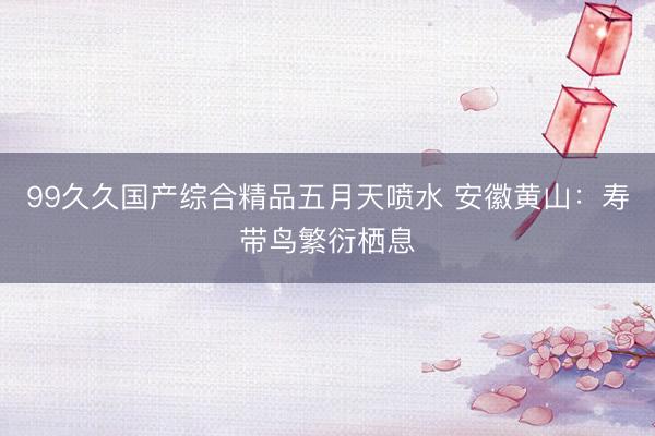 99久久国产综合精品五月天喷水 安徽黄山：寿带鸟繁衍栖息