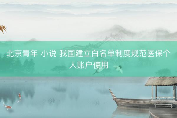 北京青年 小说 我国建立白名单制度规范医保个人账户使用