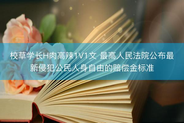 校草学长H肉高辣1V1文 最高人民法院公布最新侵犯公民人身自由的赔偿金标准