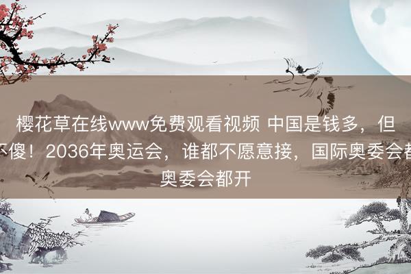 樱花草在线www免费观看视频 中国是钱多，但人不傻！2036年奥运会，谁都不愿意接，国际奥委会都开