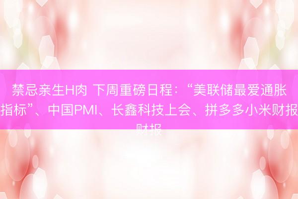 禁忌亲生H肉 下周重磅日程：“美联储最爱通胀指标”、中国PMI、长鑫科技上会、拼多多小米财报