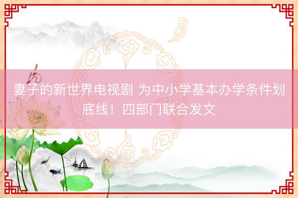 妻子的新世界电视剧 为中小学基本办学条件划底线！四部门联合发文