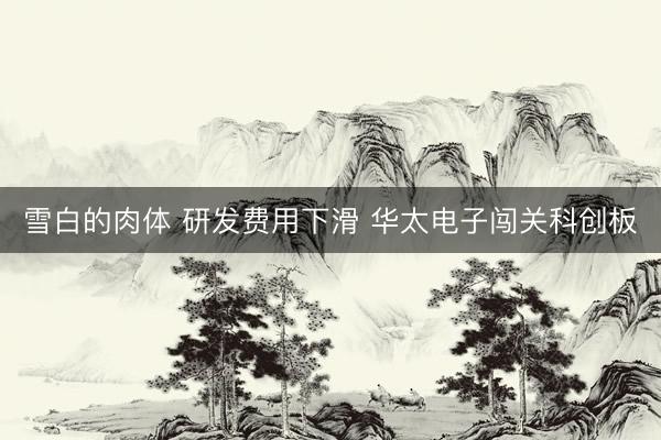 雪白的肉体 研发费用下滑 华太电子闯关科创板
