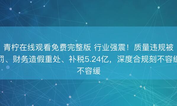 青柠在线观看免费完整版 行业强震！质量违规被罚、财务造假重处、补税5.24亿，深度合规刻不容缓