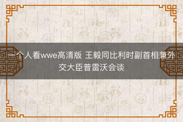 一个人看wwe高清版 王毅同比利时副首相兼外交大臣普雷沃会谈
