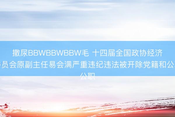 撒尿BBWBBWBBW毛 十四届全国政协经济委员会原副主任易会满严重违纪违法被开除党籍和公职