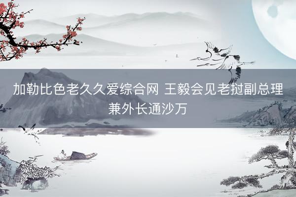 加勒比色老久久爱综合网 王毅会见老挝副总理兼外长通沙万