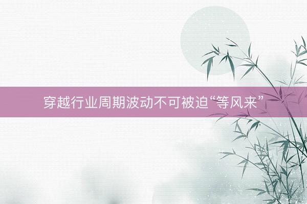 穿越行业周期波动不可被迫“等风来”