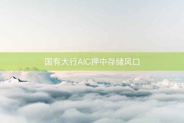 国有大行AIC押中存储风口