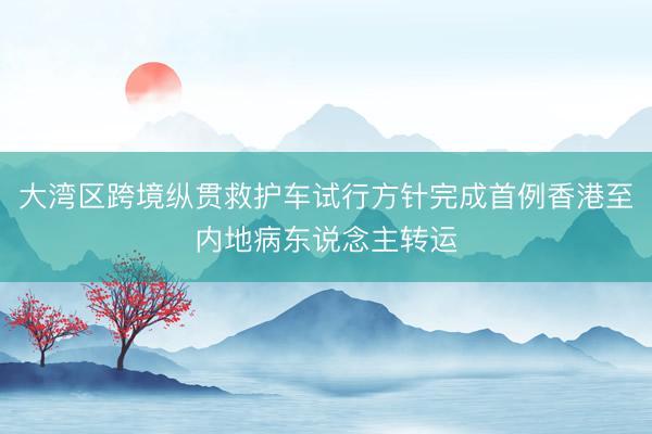 大湾区跨境纵贯救护车试行方针完成首例香港至内地病东说念主转运