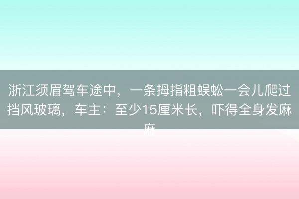 浙江须眉驾车途中,一条拇指粗蜈蚣一会儿爬过挡风玻璃,车主:至少15厘米长,吓得全身发麻