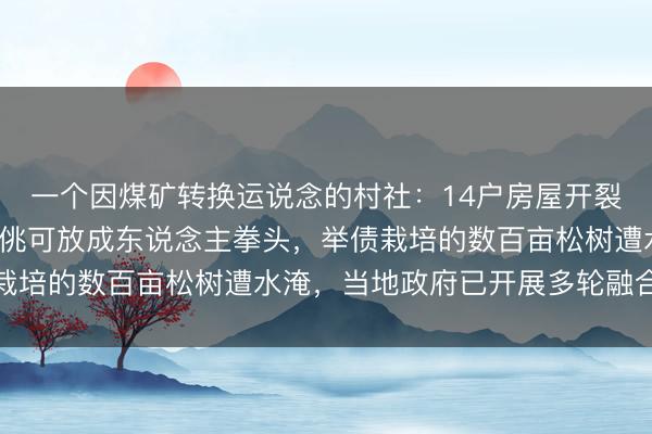 一个因煤矿转换运说念的村社：14户房屋开裂，6户成危房，墙体轻佻可放成东说念主拳头，举债栽培的数百亩松树遭水淹，当地政府已开展多轮融合解理