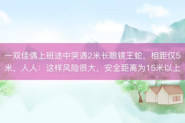 一双佳偶上班途中突遇2米长眼镜王蛇，相距仅5米，人人：这样风险很大，安全距离为15米以上