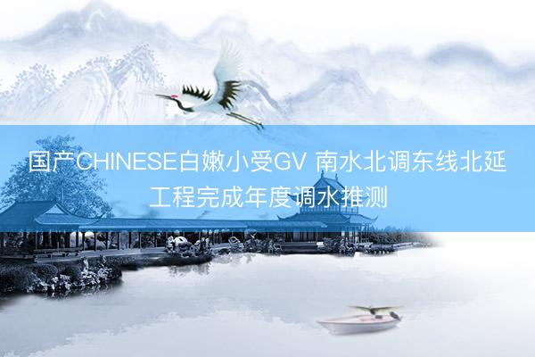 国产CHINESE白嫩小受GV 南水北调东线北延工程完成年度调水推测