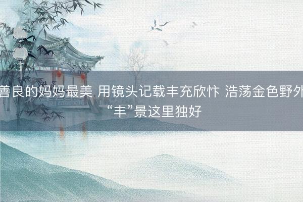 善良的妈妈最美 用镜头记载丰充欣忭 浩荡金色野外 “丰”景这里独好