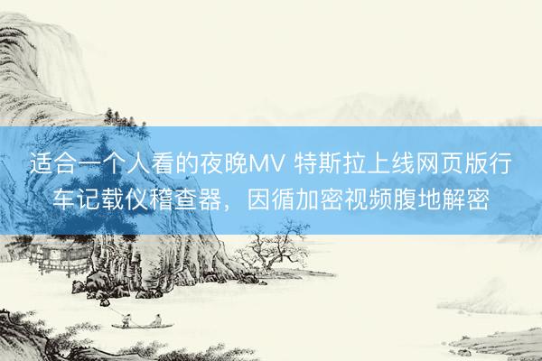 适合一个人看的夜晚MV 特斯拉上线网页版行车记载仪稽查器，因循加密视频腹地解密