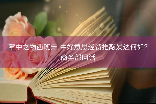 掌中之物西班牙 中好意思经贸推敲发达何如？商务部回话