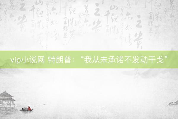 vip小说网 特朗普:“我从未承诺不发动干戈”
