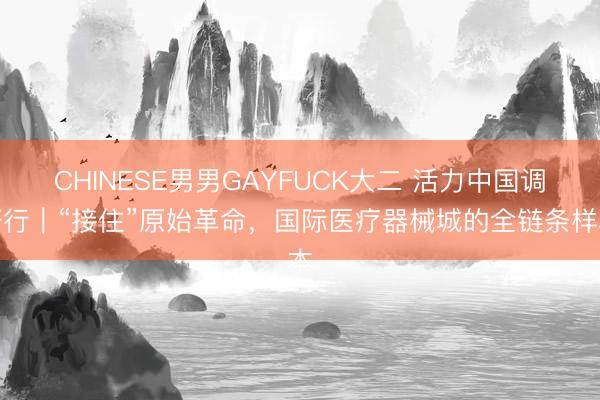 CHINESE男男GAYFUCK大二 活力中国调研行｜“接住”原始革命，国际医疗器械城的全链条样本