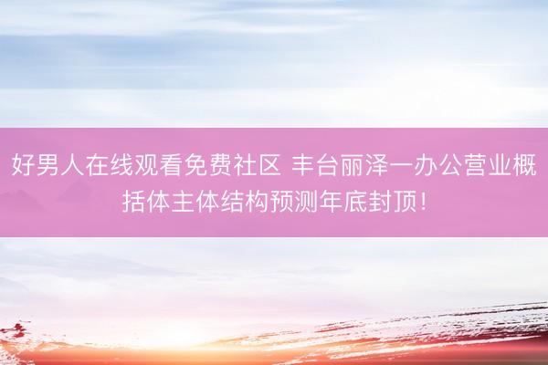 好男人在线观看免费社区 丰台丽泽一办公营业概括体主体结构预测年底封顶!