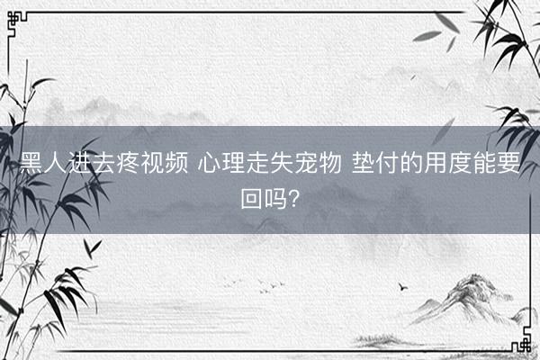 黑人进去疼视频 心理走失宠物 垫付的用度能要回吗?