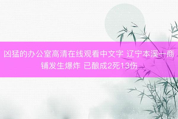 凶猛的办公室高清在线观看中文字 辽宁本溪一商铺发生爆炸 已酿成2死13伤