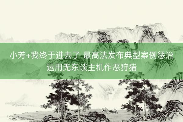 小芳+我终于进去了 最高法发布典型案例惩治运用无东谈主机作恶狩猎