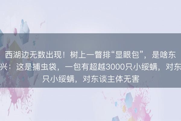 西湖边无数出现!树上一瞥排“显眼包”,是啥东西?官方复兴:这是捕虫袋,一包有超越3000只小绥螨,对东谈主体无害