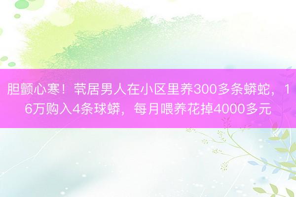 胆颤心寒！茕居男人在小区里养300多条蟒蛇，16万购入4条球蟒，每月喂养花掉4000多元