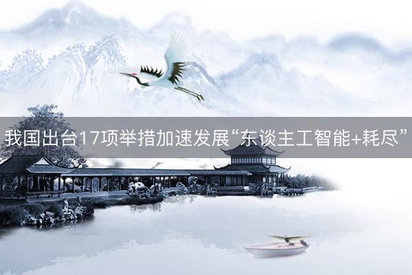 我国出台17项举措加速发展“东谈主工智能+耗尽”