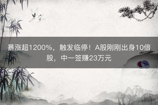 暴涨超1200%，触发临停！A股刚刚出身10倍股，中一签赚23万元